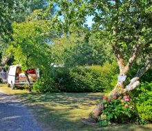 Camping Du Pouldu : Emplacement Galerie1