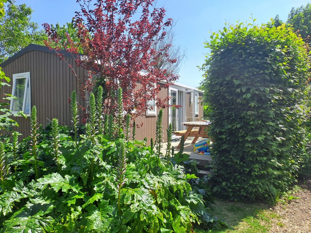 Mobil-home du camping du Pouldu à proximité de chemin de randonnées à Clohars-Carnoët