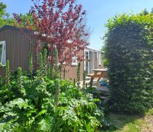 Camping Du Pouldu : Mobil Home 3ch
