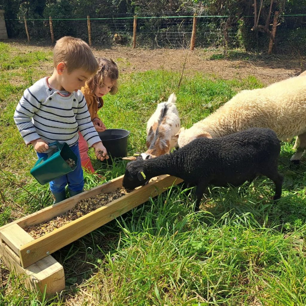 services de mini ferme du camping du poulduPouldu