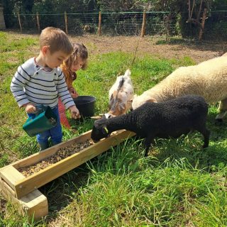 Camping Du Pouldu : Kinderboerderij