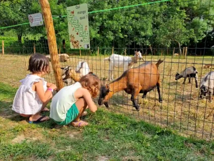 enfants decouverte animaux pedagogie camping pouldu