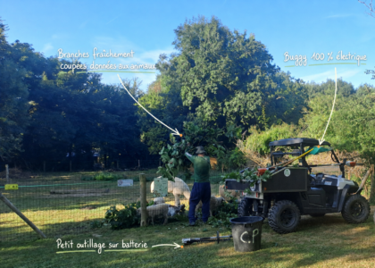 Camping écologique en Finistère Sud | Camping du Pouldu 4 entretien ecologique camping du pouldu.webp