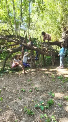 Profiter au calme au Pouldu 5 Enfant cabane dans les arbres camping du Pouldu 1