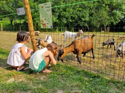Enfant a la mini ferme du camping